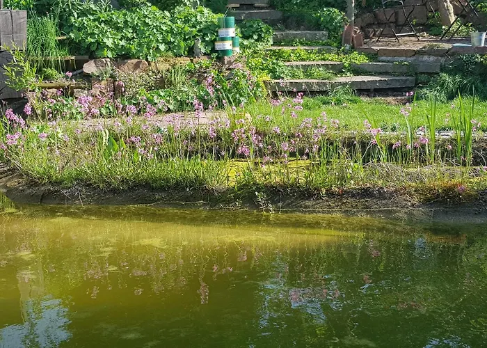 Wohnung Mit Sauna, Garten & Schwimmteich