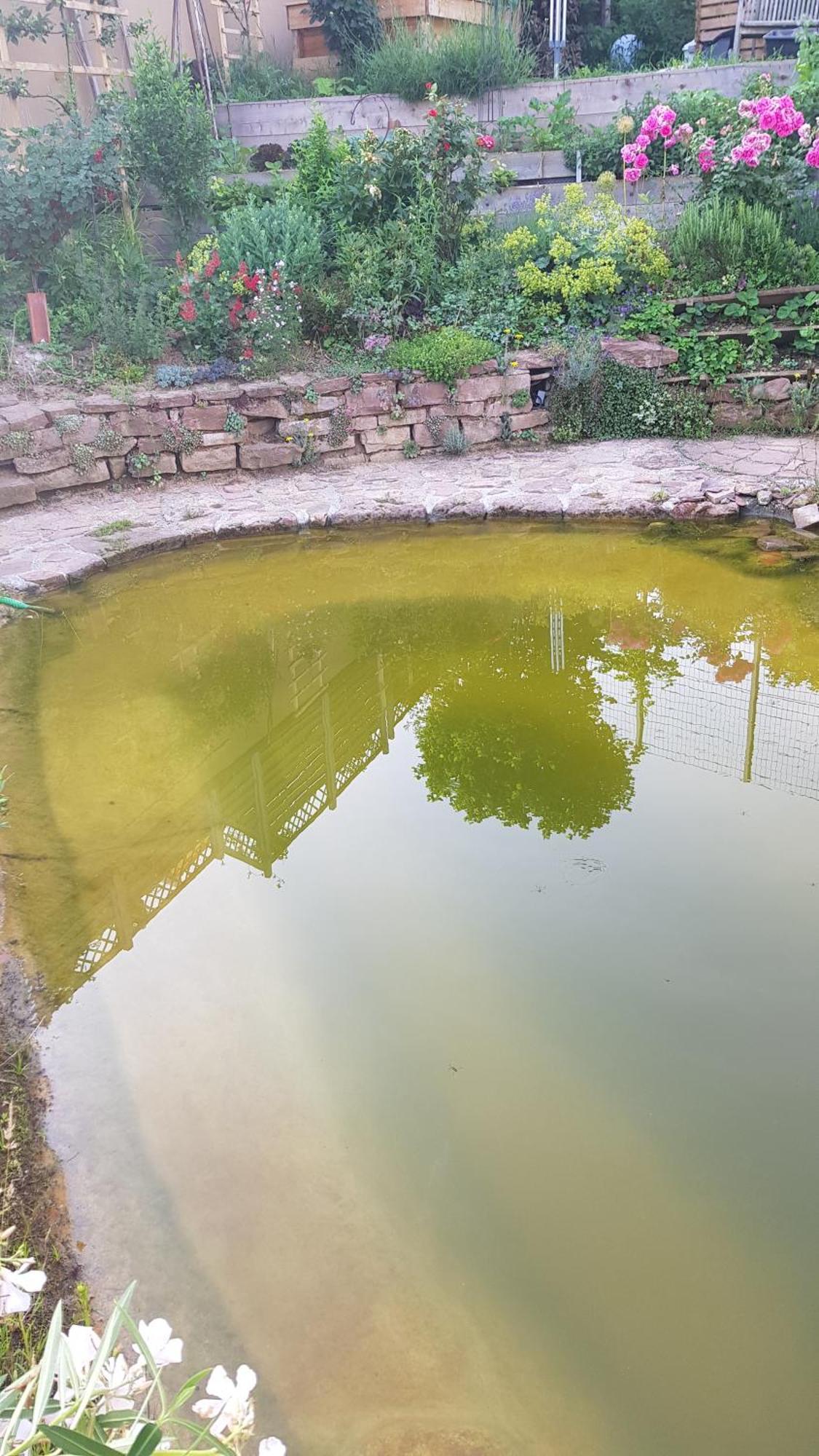 Mit Sauna, Garten & Schwimmteich * Bietigheim-Bissingen