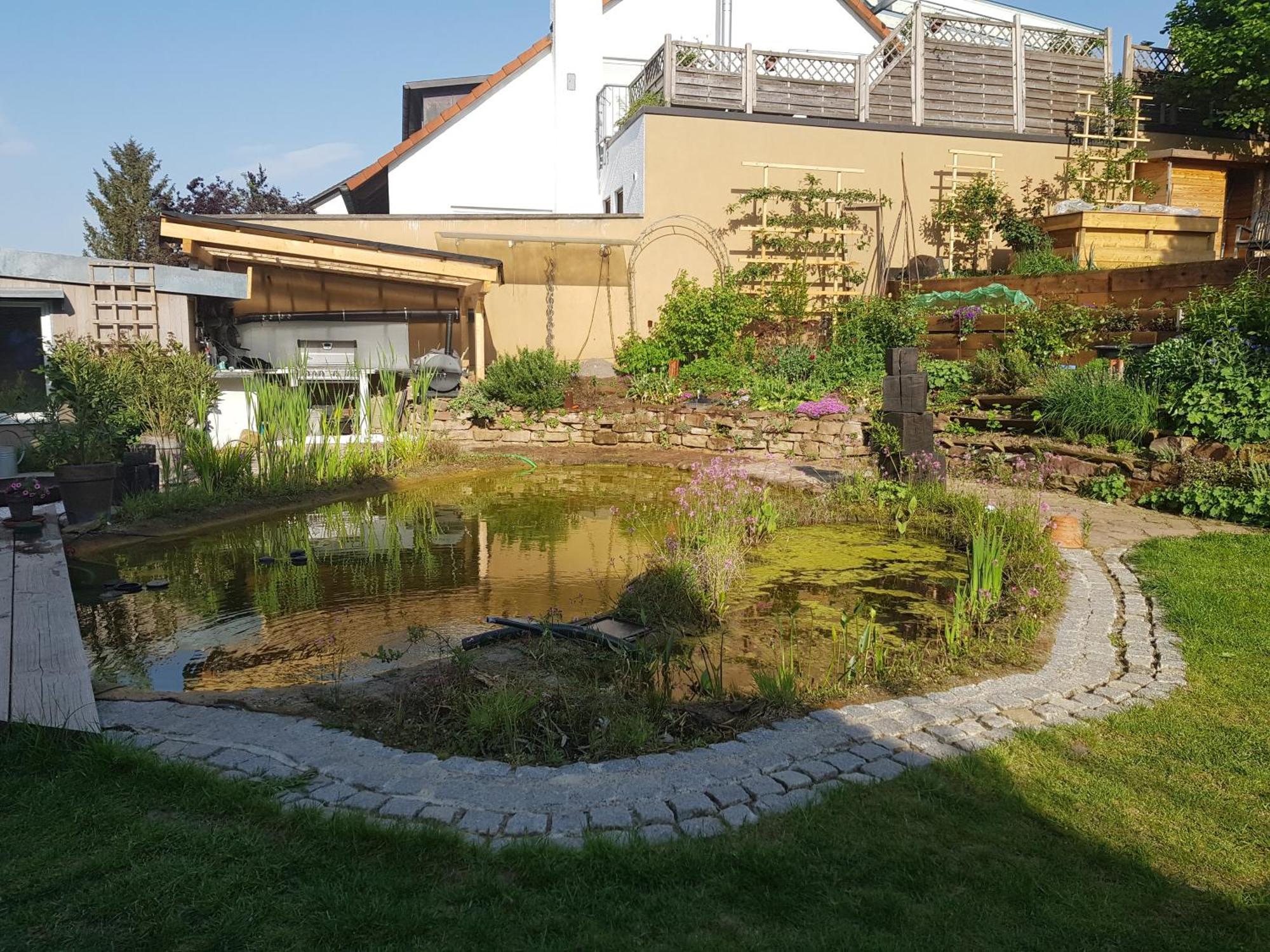 Apartment Mit Sauna, Garten & Schwimmteich