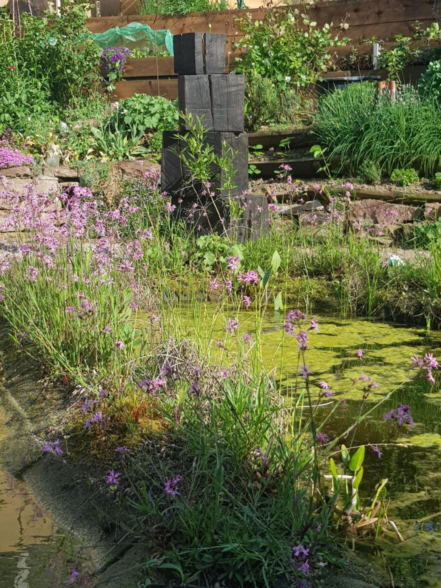 Mit Sauna, Garten & Schwimmteich *