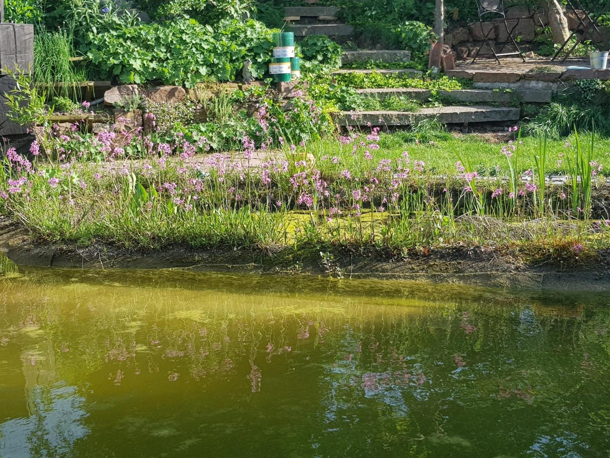 Mit Sauna, Garten & Schwimmteich * Bietigheim-Bissingen
