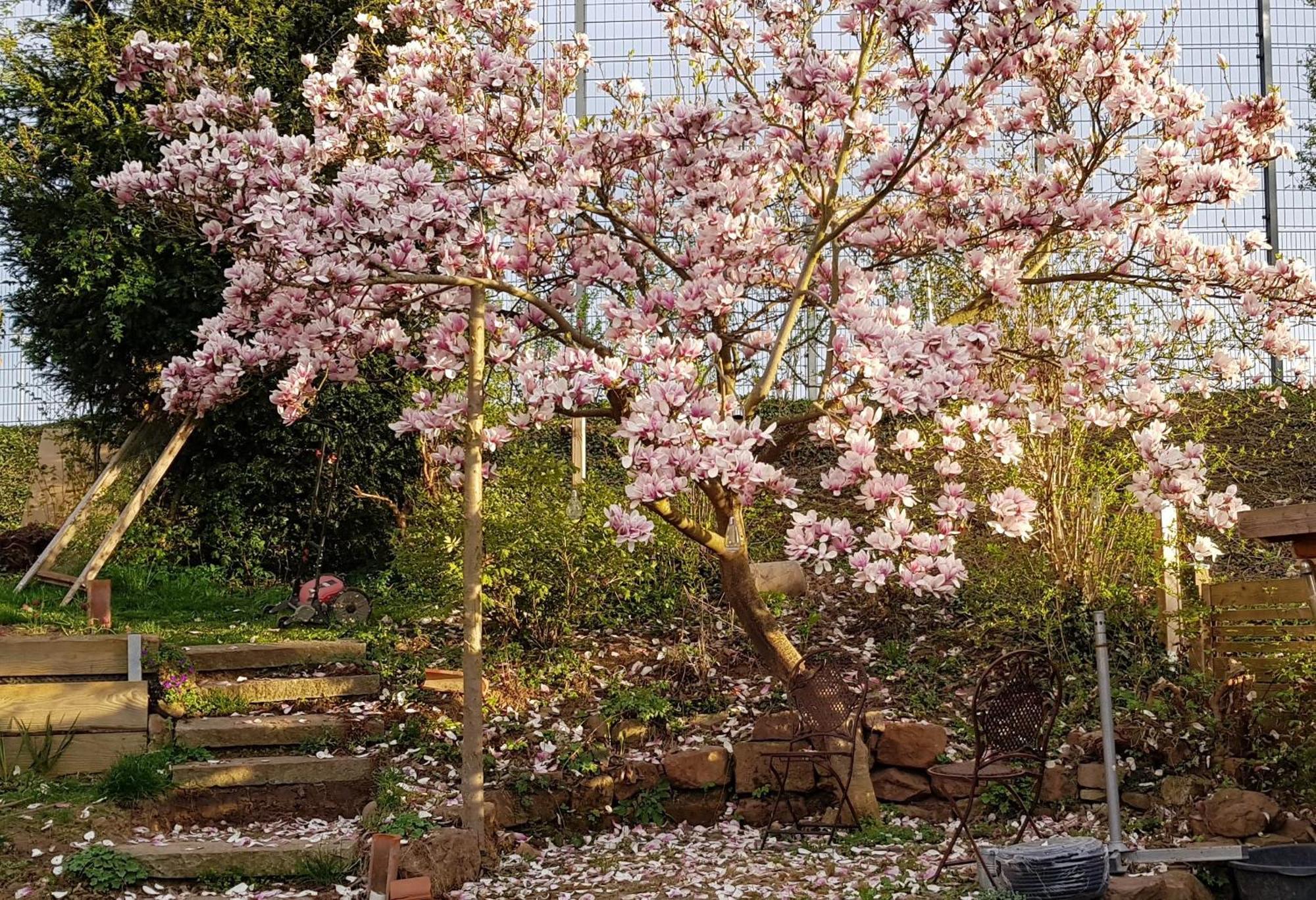 Mit Sauna, Garten & Schwimmteich *