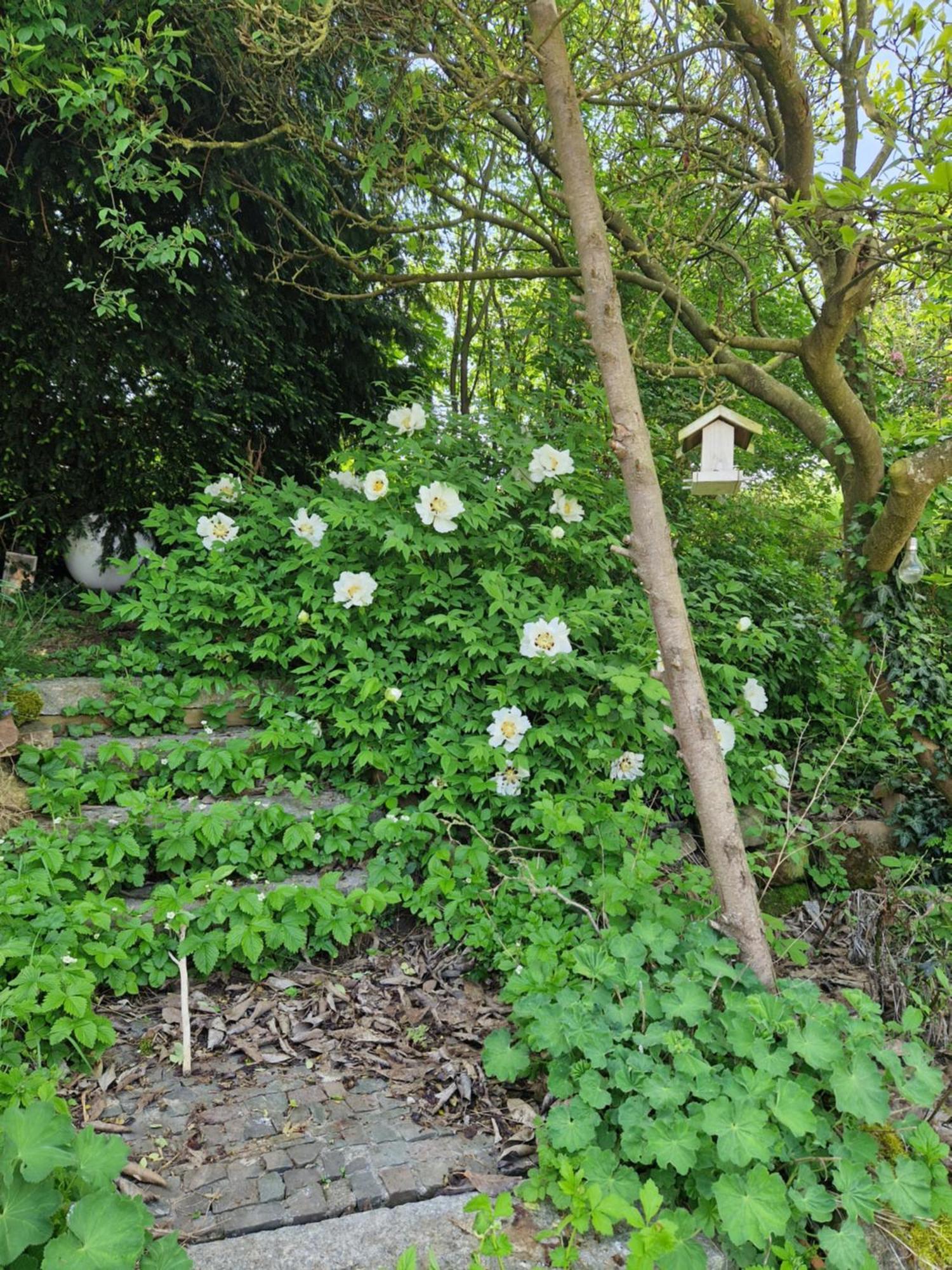 Mit Sauna, Garten & Schwimmteich Bietigheim-Bissingen